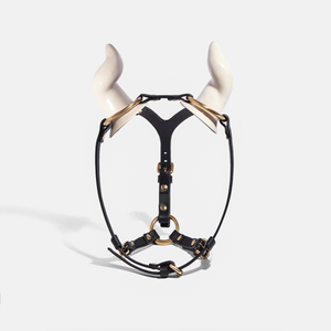 HORN HEADPIECE