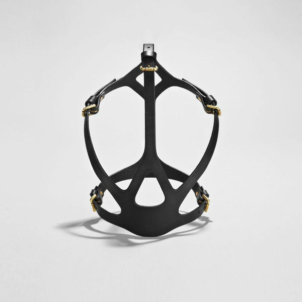 Web Mask Fleet Ilya